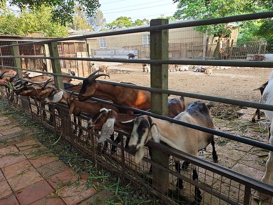 Yi Jian Yang Ru Chang